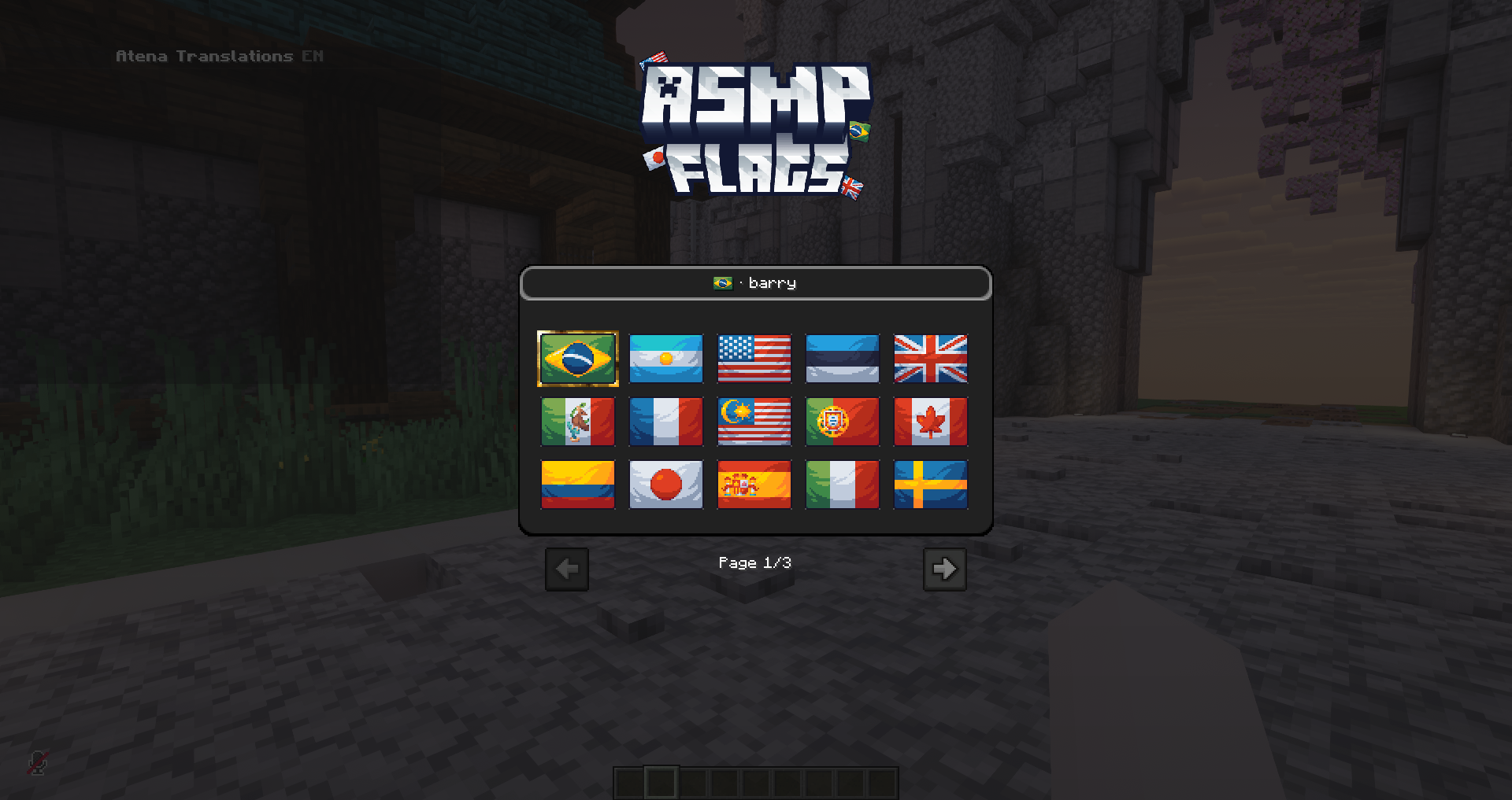 ASMP Flags